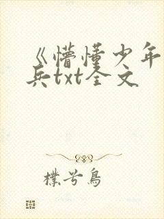 《懵懂少年》李兵txt全文
