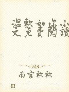 温软如你小说全文免费阅读
