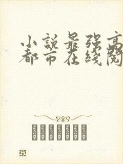 小说最强高手在都市在线阅读封面