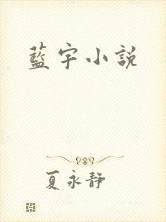 蓝宇小说