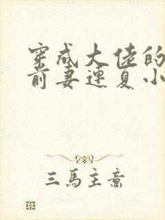 穿成大佬的病弱前妻连夏小说