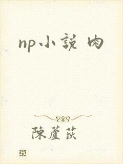 np小说 肉