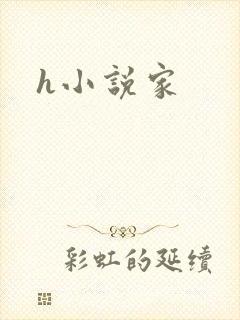 h小说家