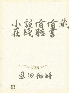 小说偷偷藏不住在线听书