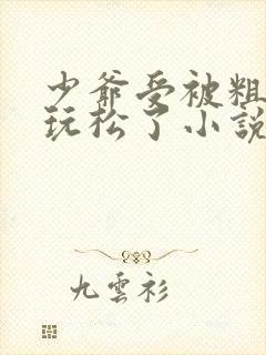 少爷受被粗汉H玩松了小说