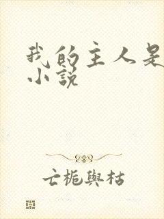 我的主人是妹妹小说