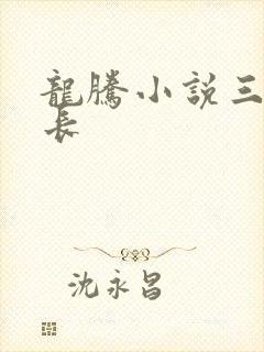 龙腾小说三宝局长封面