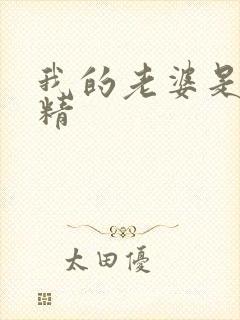 我的老婆是狐狸精