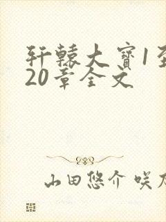 轩辕大宝1至720章全文