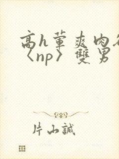 高h荤爽肉欲文〈np〉双男