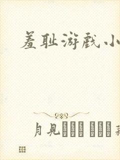 羞耻游戏小说