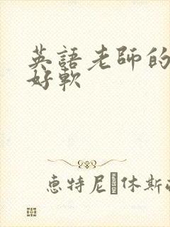 英语老师的兔子好软