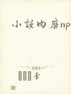 小说肉糜np