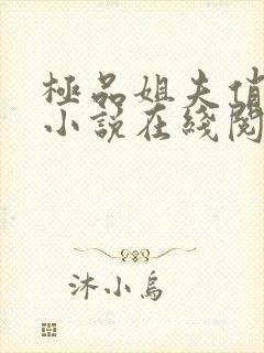 极品姐夫俏小姨小说在线阅读全文免费
