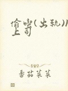 偷吃(出轨)h上司