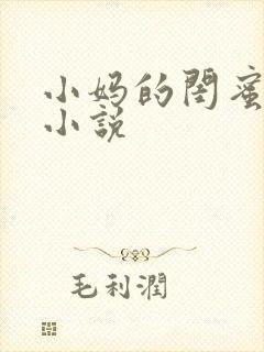 小妈的闺蜜梅姨小说