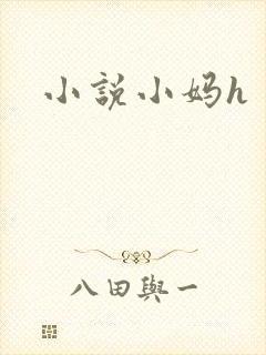 小说小妈h