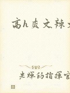 高h爽文辣文封面