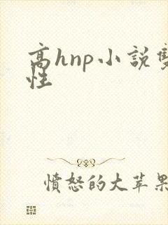 高hnp小说双性