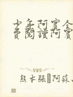 少年阿宾全文免费阅读阿宾封面