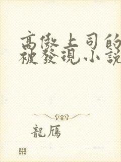 高傲上司的秘密被发现小说免费阅读