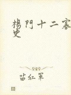 杨门十二寡妇艳史