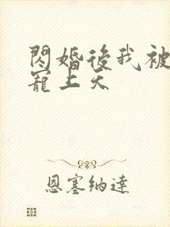 闪婚后我被大叔宠上天