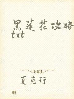 黑莲花攻略手册txt