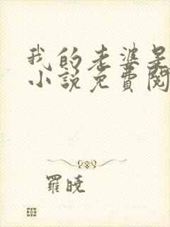 我的老婆是虐狂小说免费阅读封面