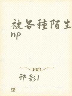 被各种陌生人 np