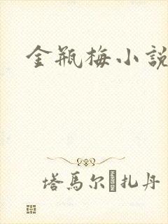 金瓶梅小说在线