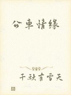 公车情缘