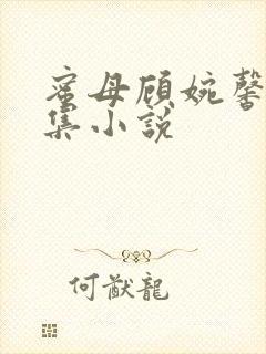 蜜母顾婉馨 全集小说