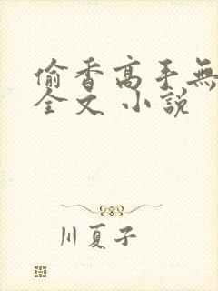 偷香高手无删减全文 小说封面