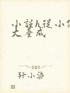 小说h从小做到大养成