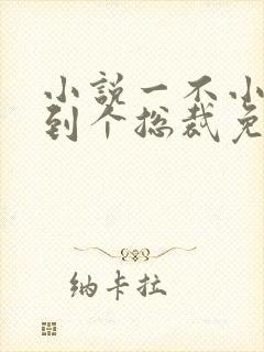 小说一不小心捡到个总裁免费阅读