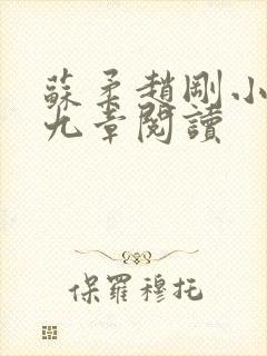 苏柔赵刚小说第九章阅读