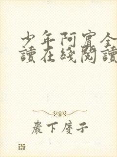 少年阿宾全文阅读在线阅读全文第一季封面