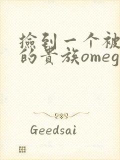 捡到一个被抹布的贵族omega