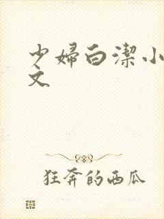 少妇白洁小说全文