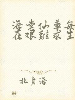 海棠仙尊每天都在艰难求生