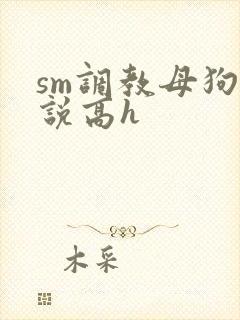 sm调教母狗小说高h