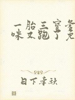 一胎三宝爹地妈咪又跑了免费阅读全文