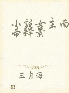 小说女主南知意帝释景