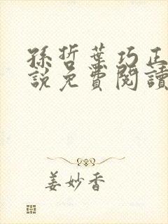 孙哲叶巧正版小说免费阅读