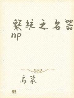 系统之名器攻略np封面