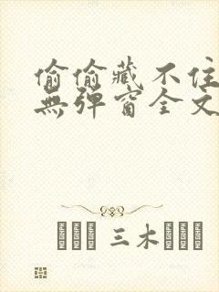 偷偷藏不住小说无弹窗全文免费阅读