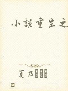小说重生之官道