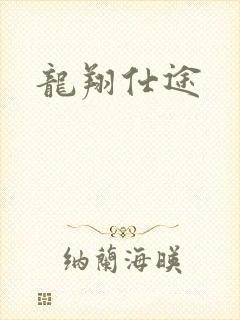 龙翔仕途