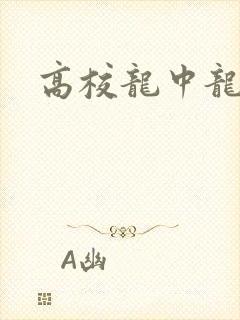 高校龙中龙